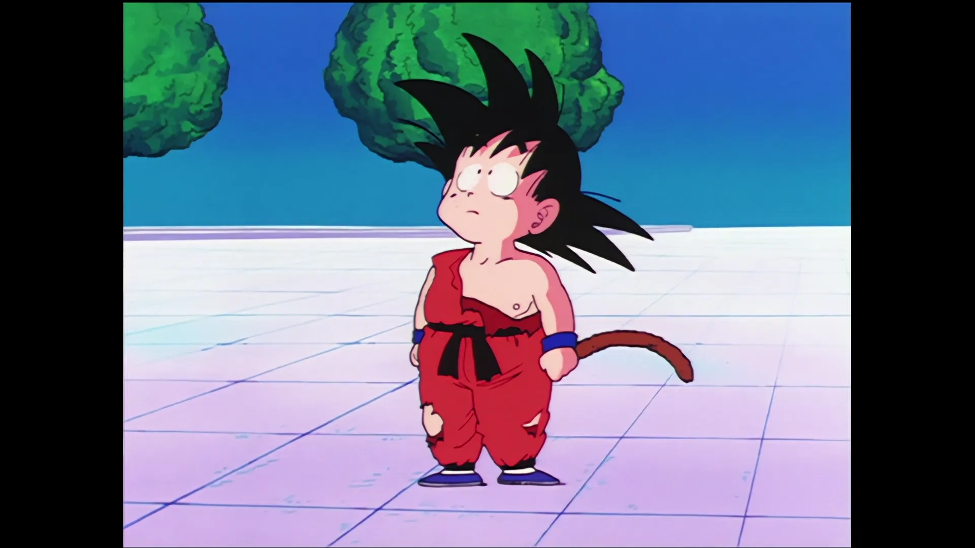 Earths guardian emerges — capture 9 sur 30 (Dragon Ball)