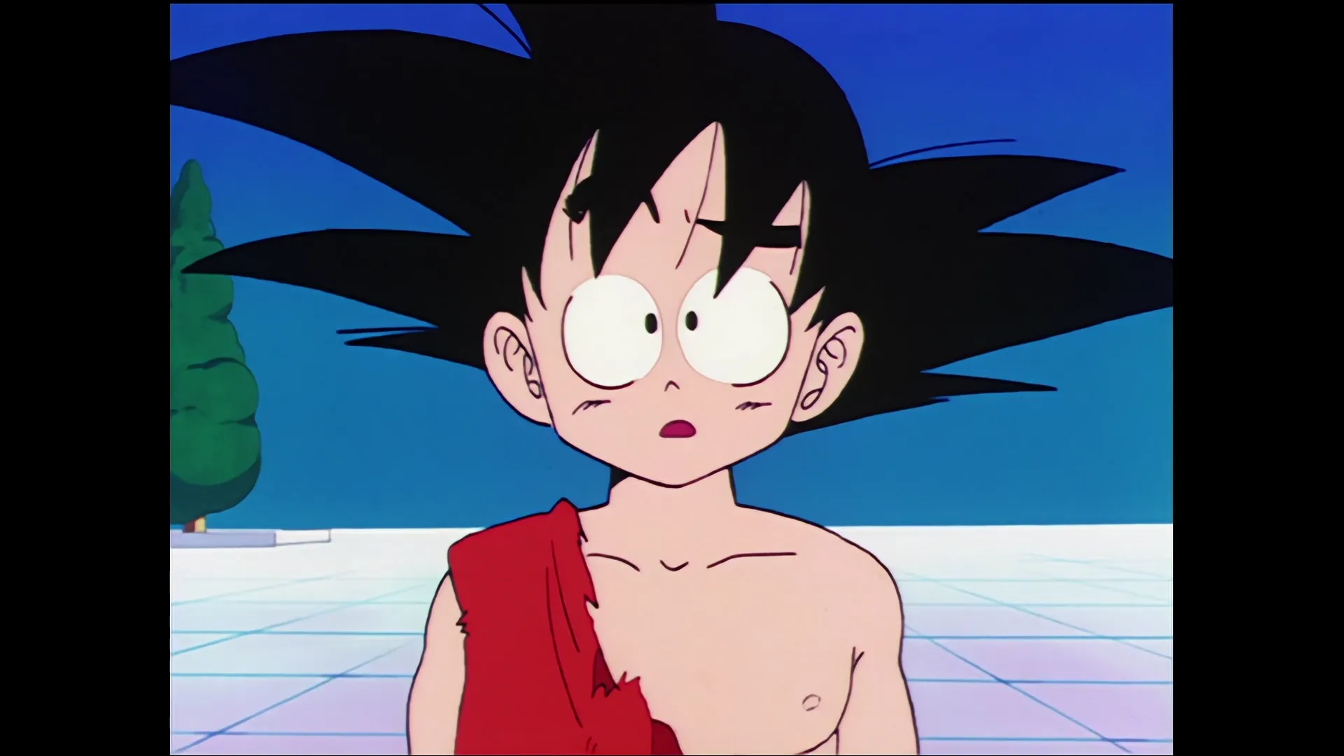 Earths guardian emerges — capture 19 sur 30 (Dragon Ball)