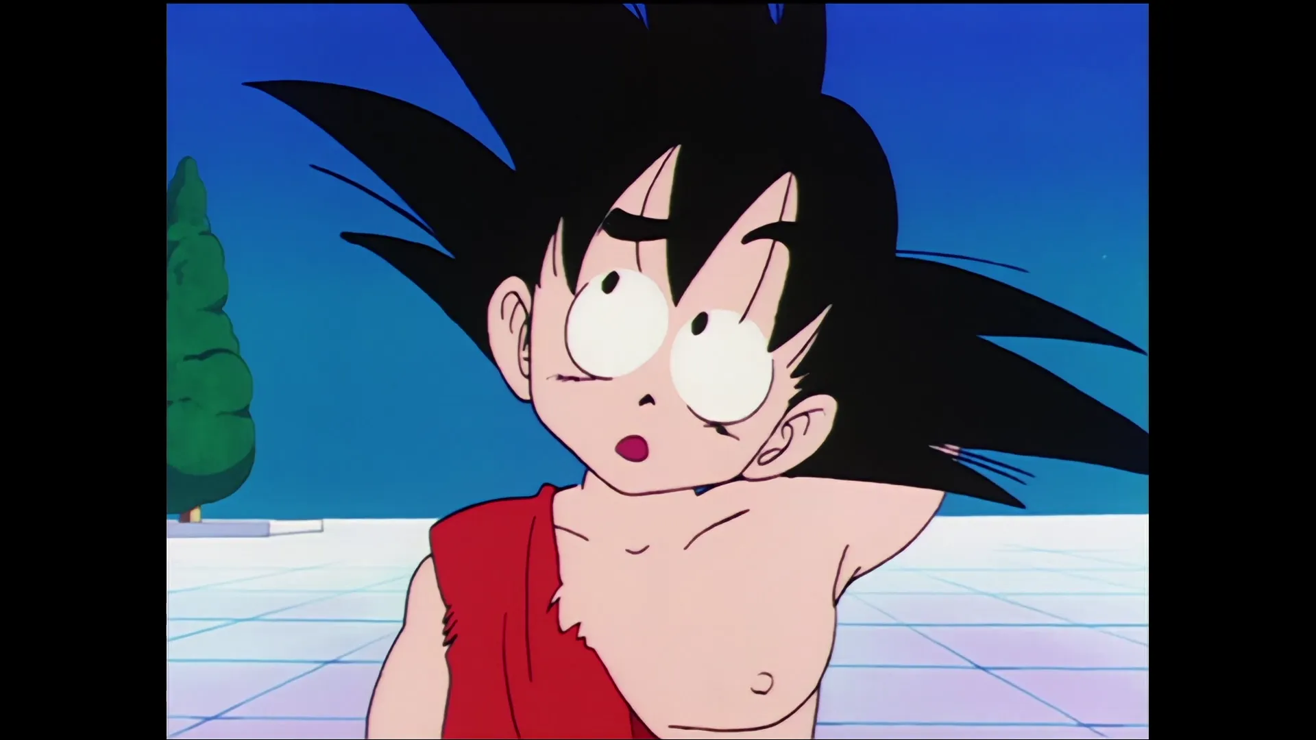 Earths guardian emerges — capture 20 sur 30 (Dragon Ball)
