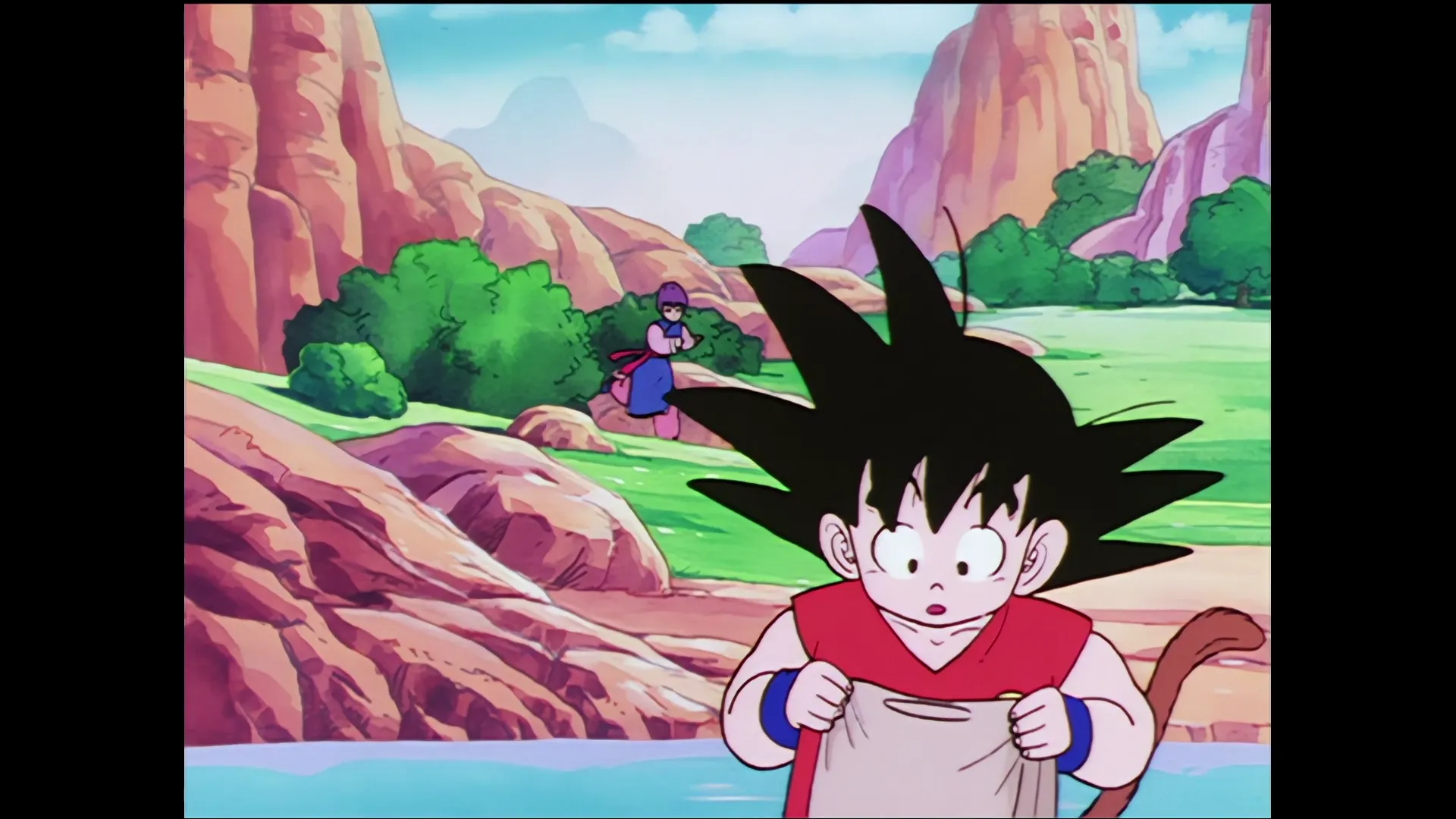 The time room — capture 22 sur 30 (Dragon Ball)