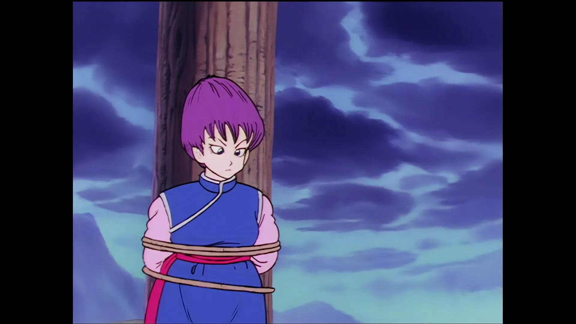 The time room — capture 30 sur 30 (Dragon Ball)