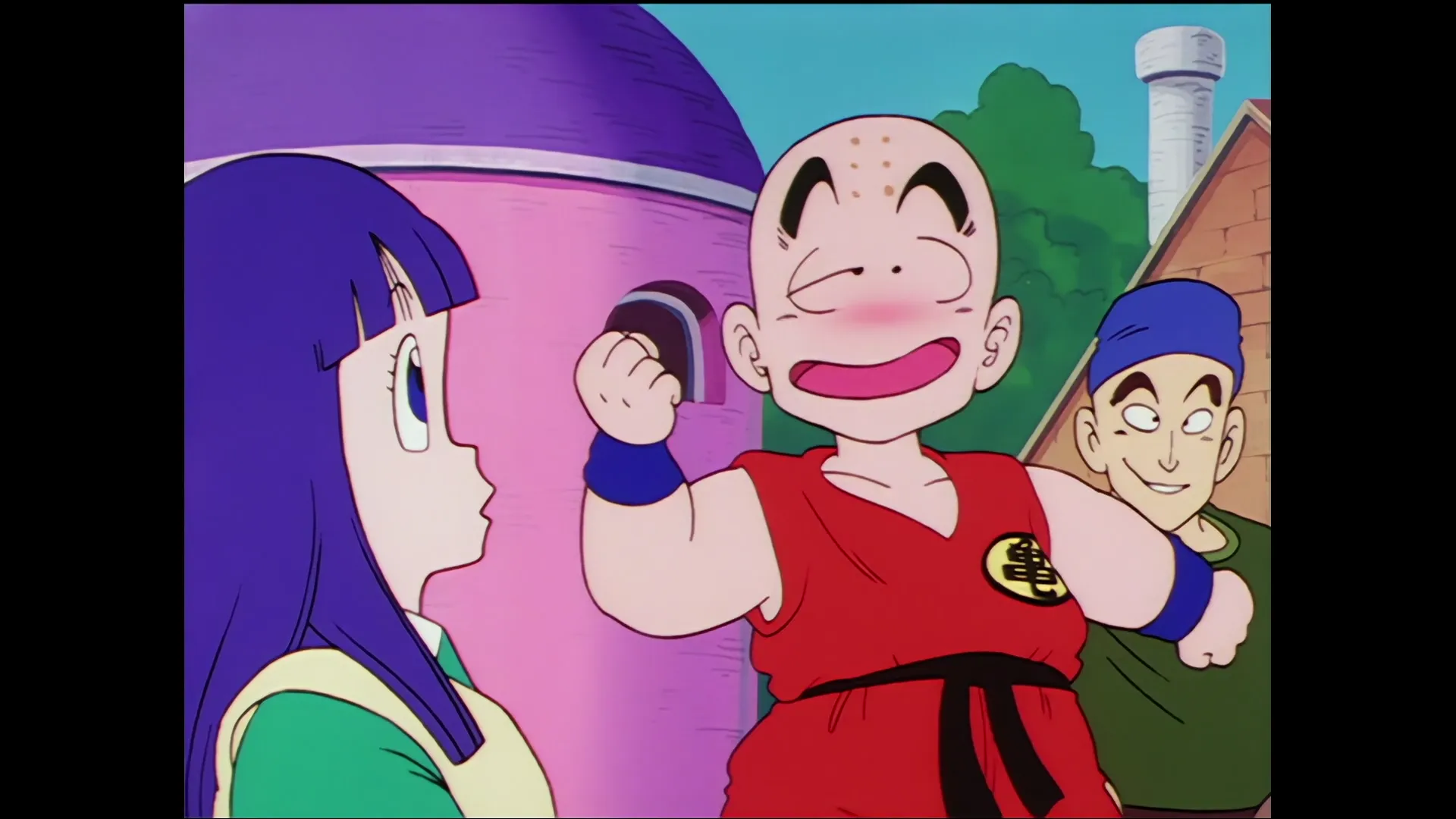 Walking their own ways — capture 25 sur 30 (Dragon Ball)