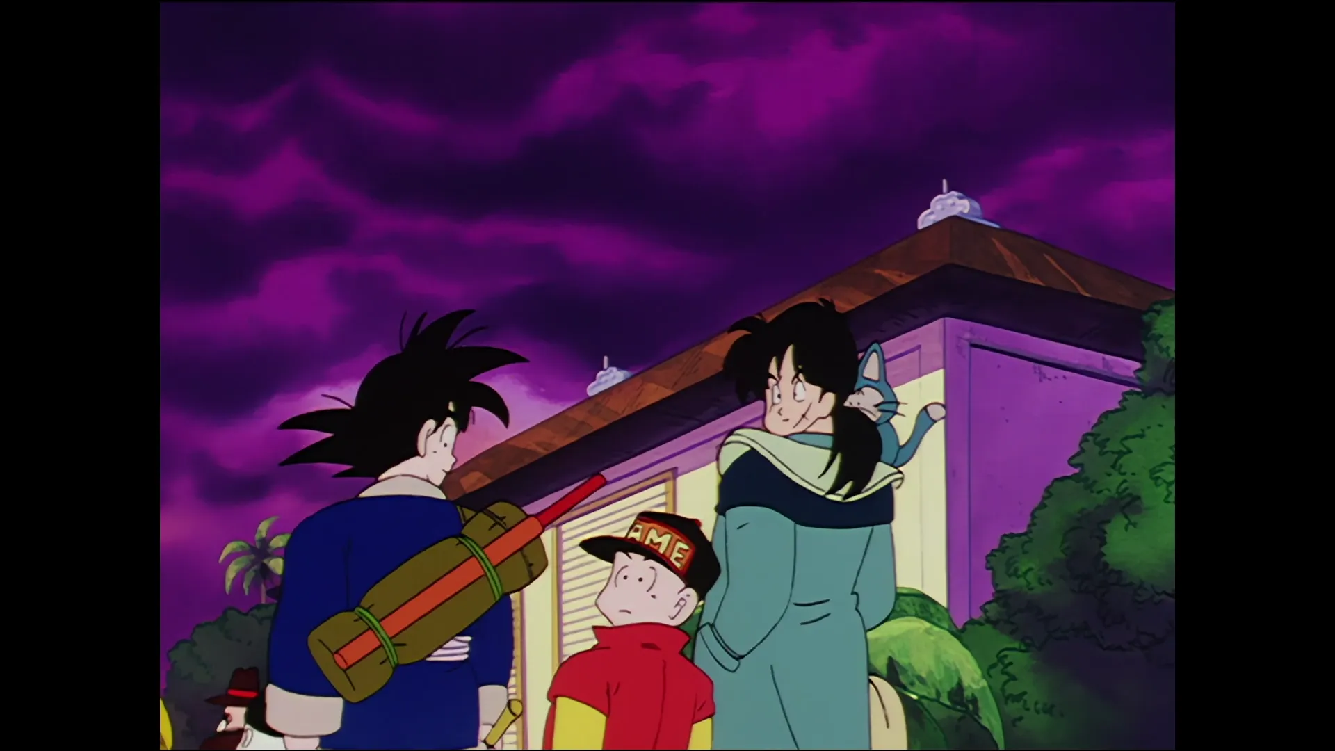 Changes — capture 20 sur 30 (Dragon Ball)