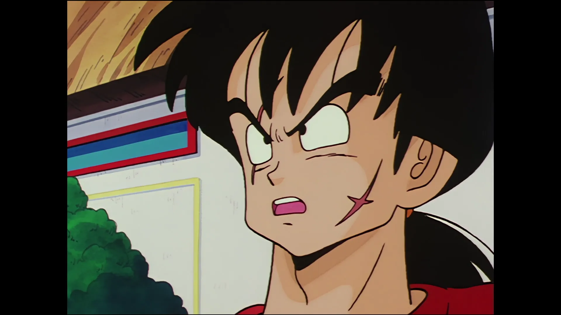 Tien shinhan vs mercenary tao — capture 4 sur 30 (Dragon Ball)