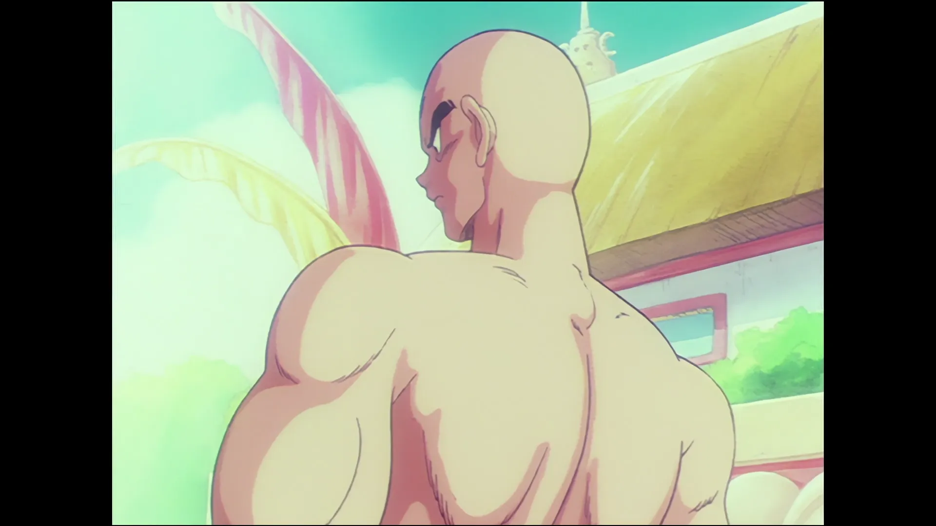 Tien shinhan vs mercenary tao — capture 26 sur 30 (Dragon Ball)