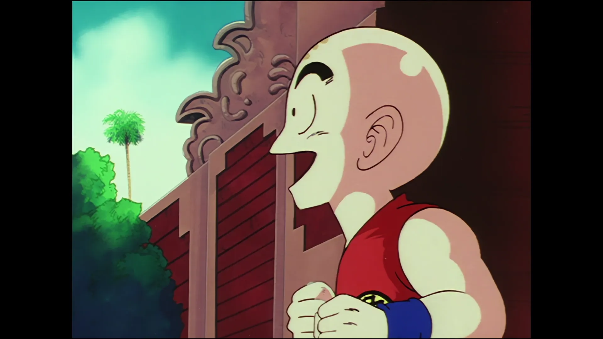 Tien shinhan vs mercenary tao — capture 28 sur 30 (Dragon Ball)