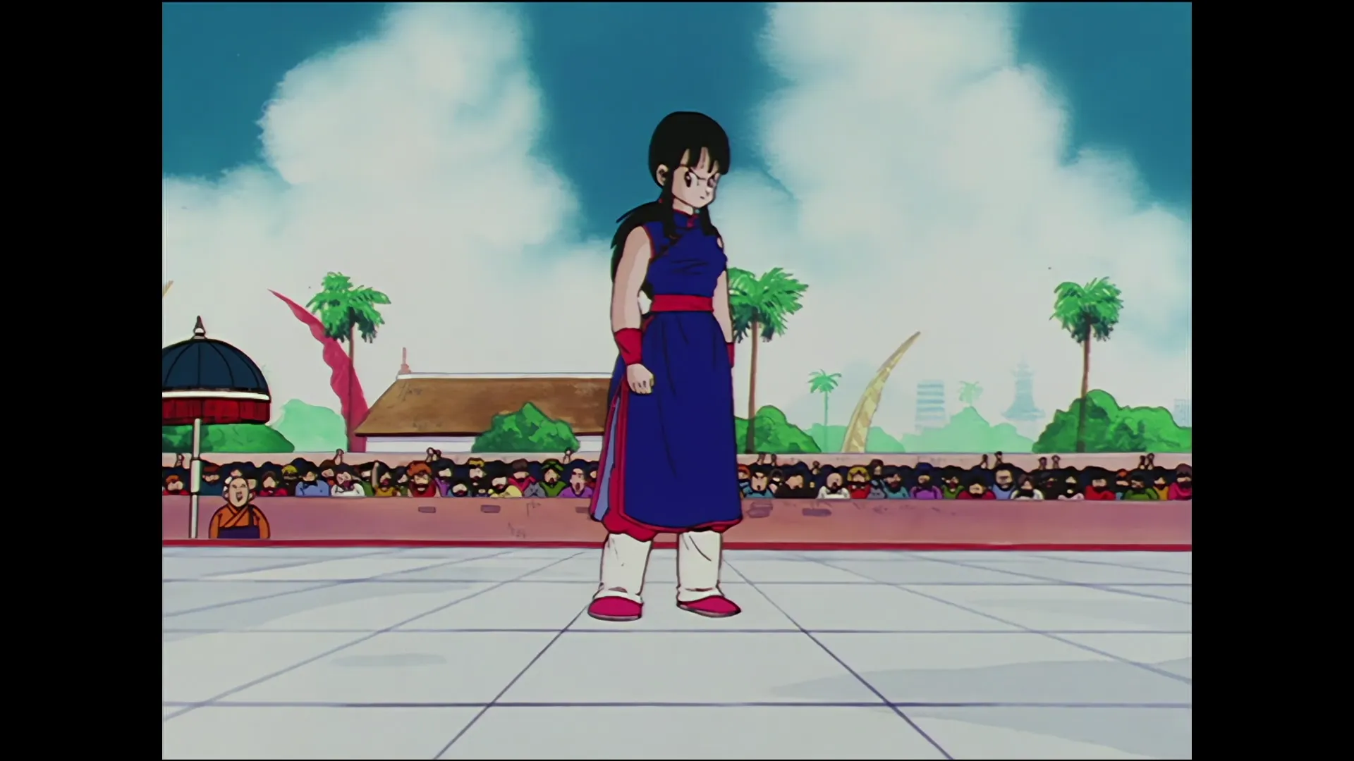 Anonymous proposal — capture 1 sur 30 (Dragon Ball)