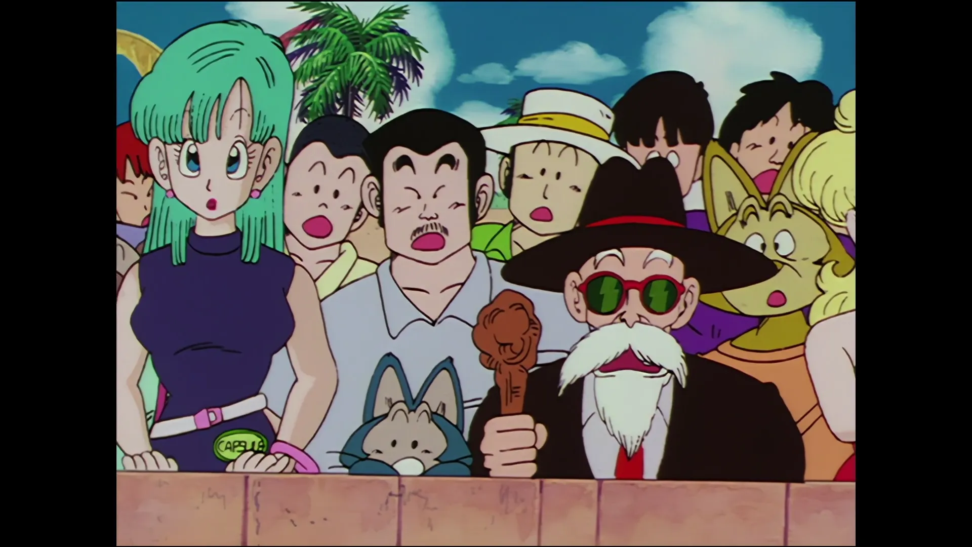 Anonymous proposal — capture 2 sur 30 (Dragon Ball)