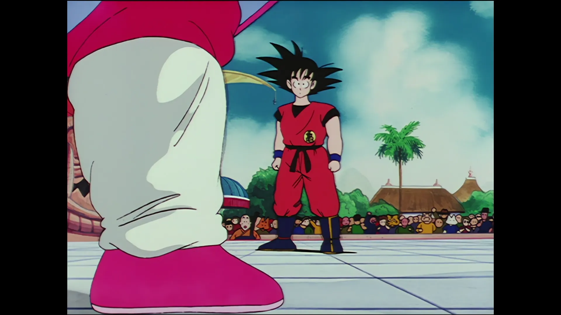Anonymous proposal — capture 6 sur 30 (Dragon Ball)