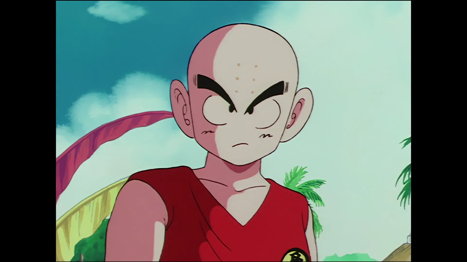 Anonymous proposal — capture 23 sur 30 (Dragon Ball)