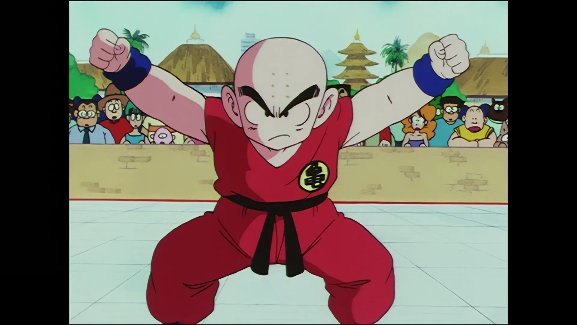 Anonymous proposal — capture 25 sur 30 (Dragon Ball)