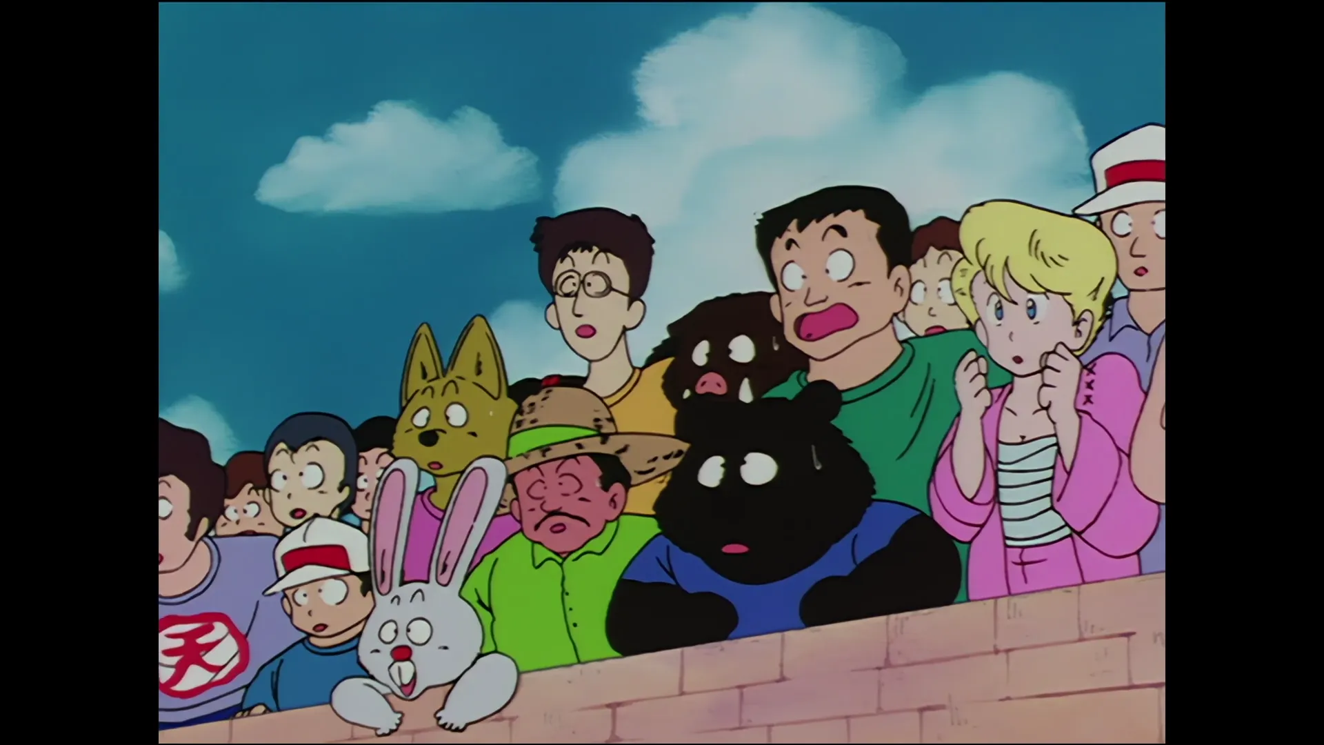 Anonymous proposal — capture 30 sur 30 (Dragon Ball)