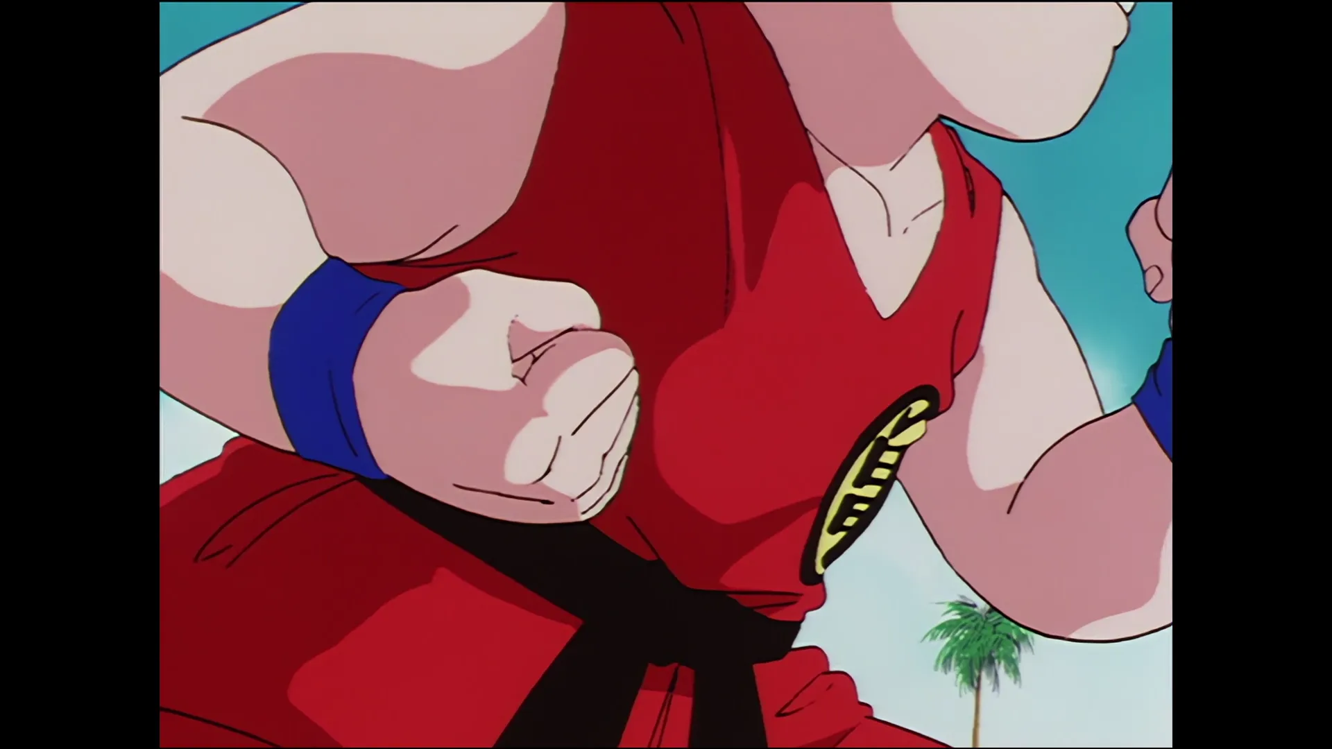 The mysterious hero — capture 2 sur 30 (Dragon Ball)