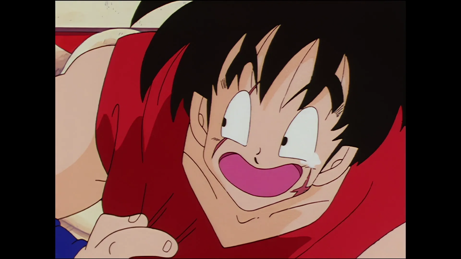 The mysterious hero — capture 23 sur 30 (Dragon Ball)