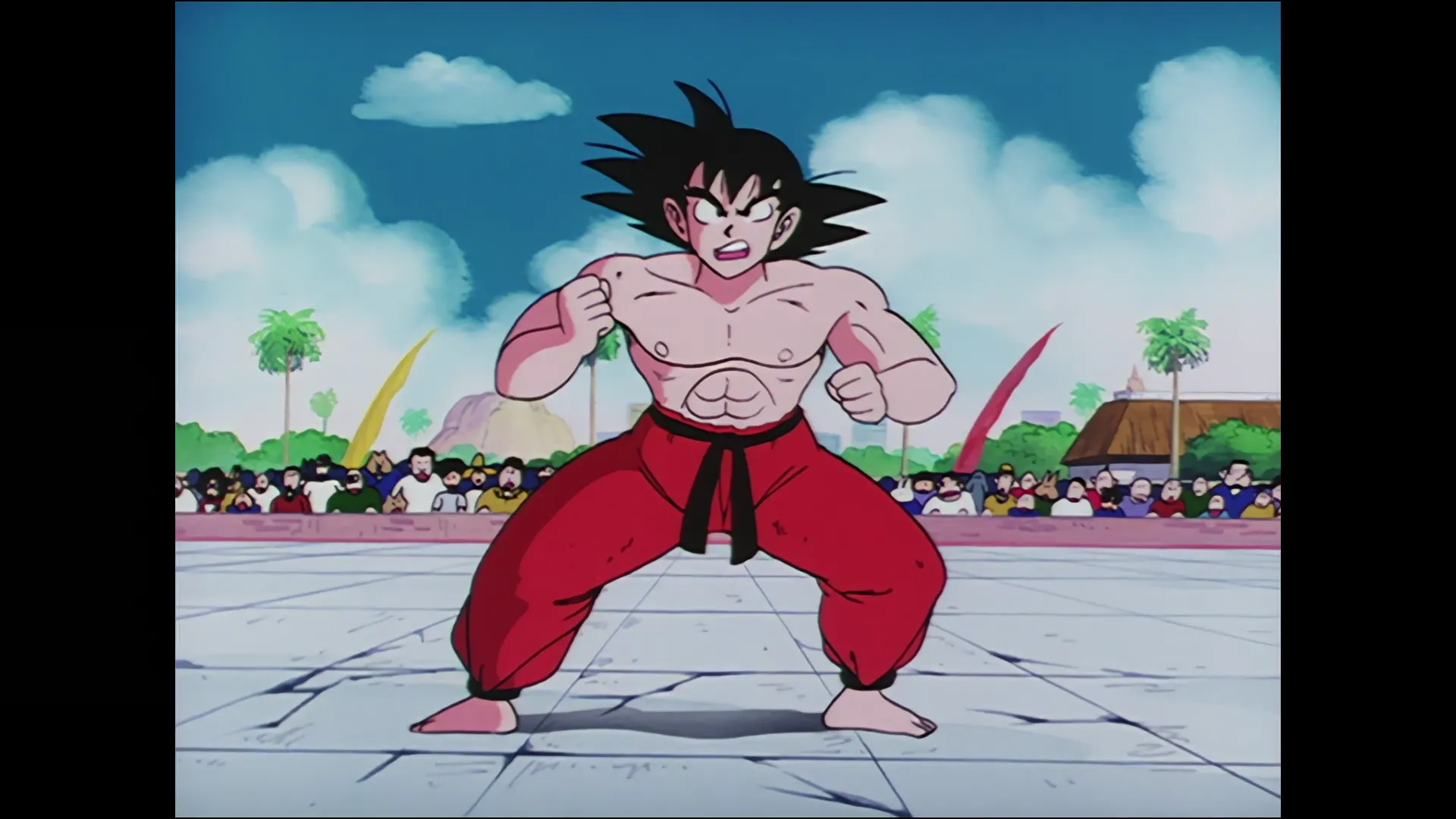 Super kamehameha — capture 22 sur 30 (Dragon Ball)
