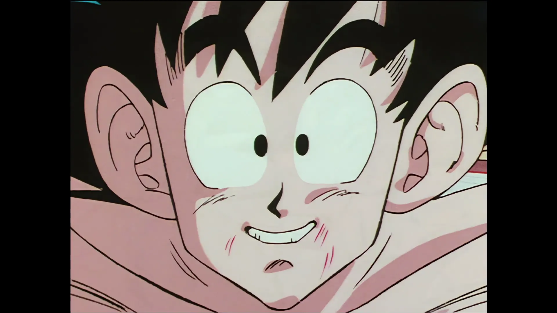 Gokus trap — capture 26 sur 30 (Dragon Ball)