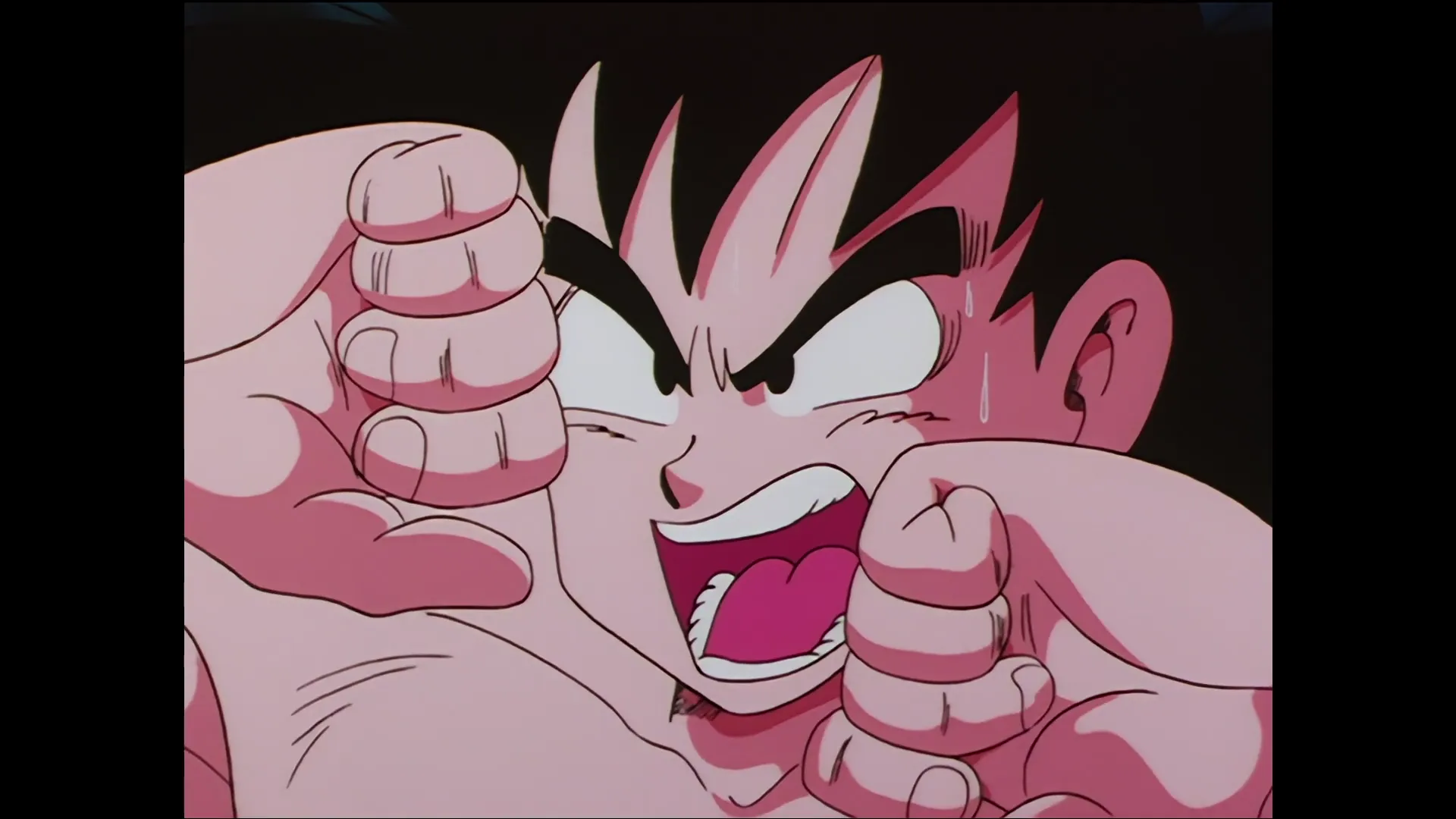 Goku hangs on — capture 5 sur 30 (Dragon Ball)