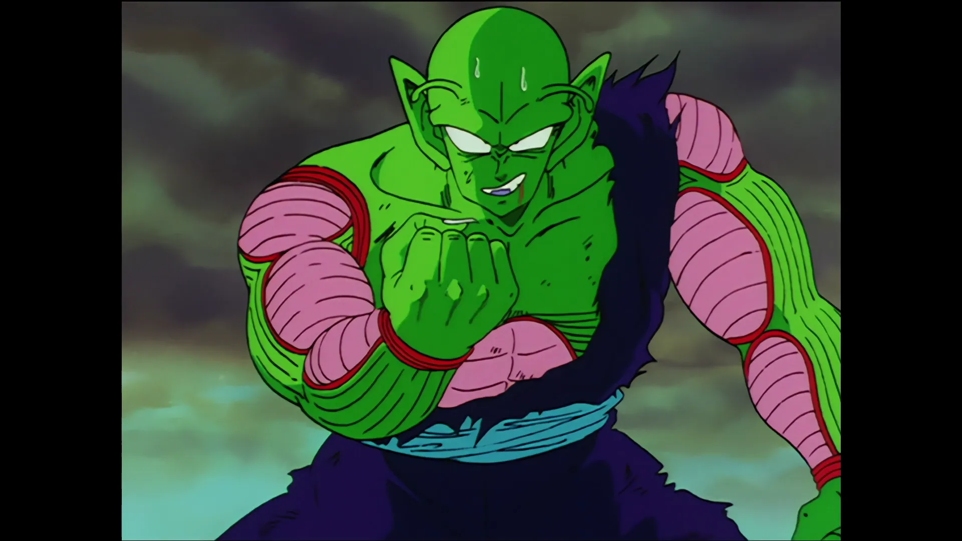 The victor — capture 29 sur 30 (Dragon Ball)