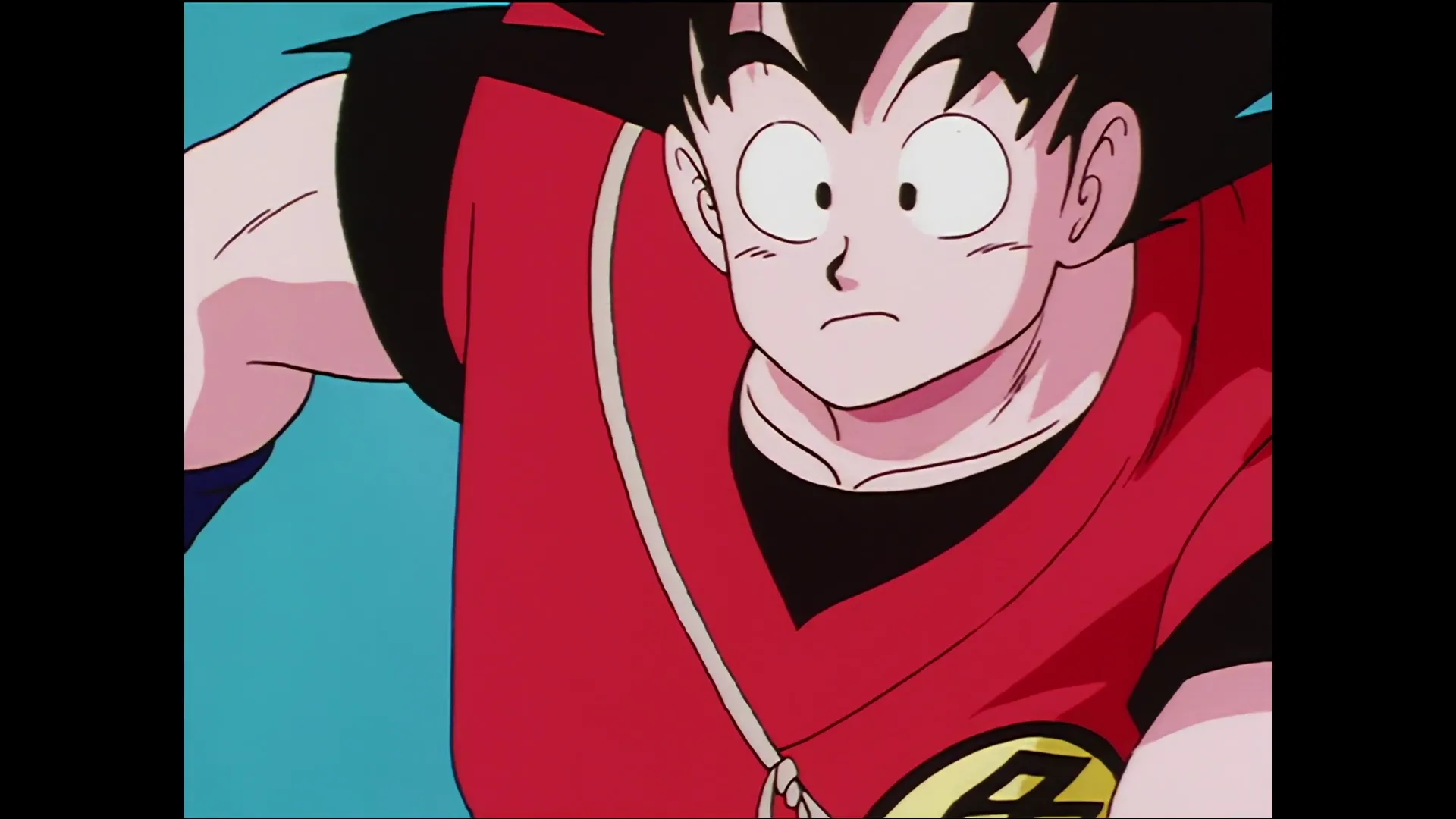 Dress in flames — capture 27 sur 30 (Dragon Ball)