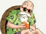 Muten Roshi MAX Power Muten Roshi MAX Power