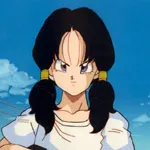 Videl